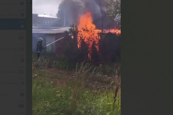 Стена пламени выросла у гаражей в Бокситогорске