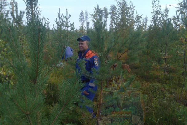 Поисковики нашли пенсионерку, блуждавшую четыре часа под Лодейным Полем 