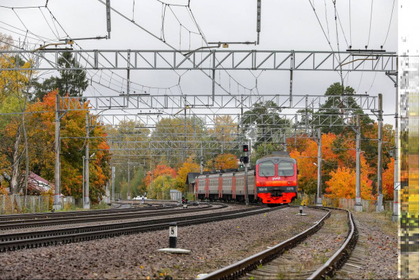 День народного единства сдвинет график электричек в Петербурге и Ленобласти