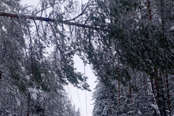 В пяти районах Ленобласти возникли проблемы со светом из-за непогоды. Осталось починить под Кингисеппом