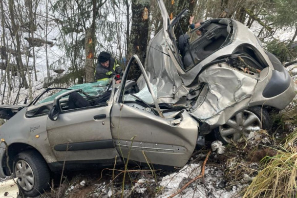 Под Киришами Citroen улетел в кювет, крышу раздавило дерево. Водитель погиб, двое пассажиров в больнице