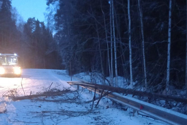 В Приозерске перевозчика наказывают за срывы рейсов, а он жалуется на дороги