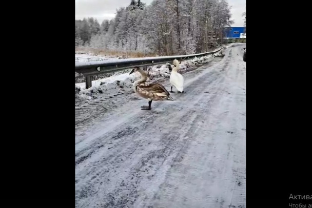 Загрузить Фотографию