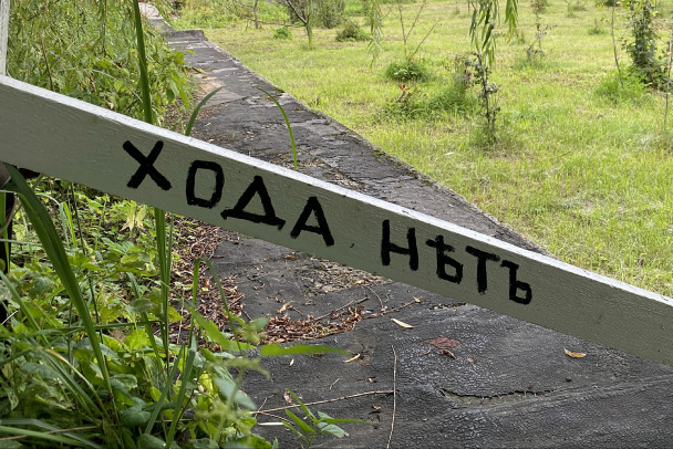 Страшно выходить за калитку. Улицы Всеволожска волнуют автомобили