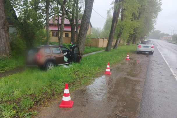 Под Волосово Renault влетела в дерево, погибла пенсионерка