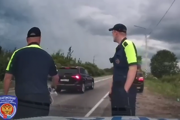 В Красном Бору водитель-буян сопротивлялся ДПС, а перед этим пытался удрать