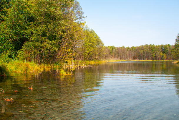 В Петербурге две девочки утонули в озере. Они были сестрами
