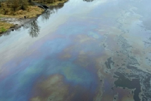 Фиолетовая пленка затянула реку Волхов в Киришах. Выясняют источник нефтепродуктов