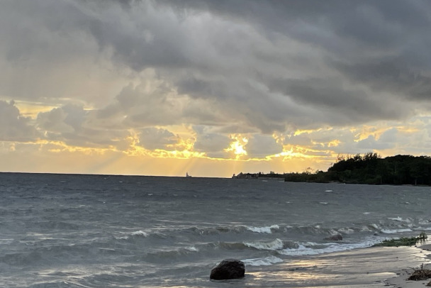 В Ленинградской области завтра - мокро, но тепло