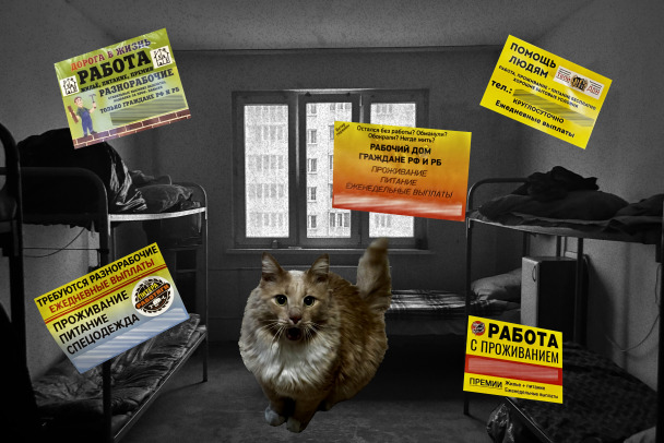 Кого волнует рабочее дно Петербурга Главное пить и врать нельзя