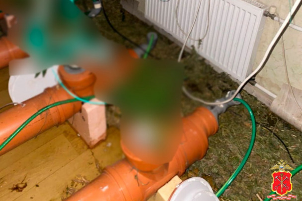 Кусты из труб. Арендатора в Шушарах взяли над наркоплантацией с системой орошения