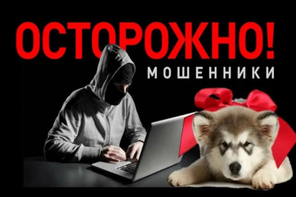 В Петербурге задержали дропа, который забрал у девочки-подростка наручных часов на миллион рублей