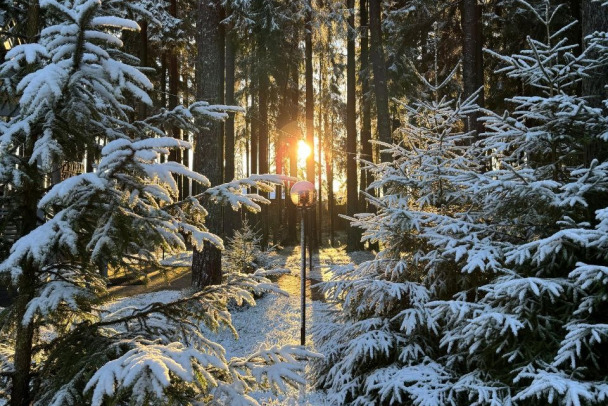 В Ленобласти снега - завались: в Тихвине 18 см, под Ломоносовом 12