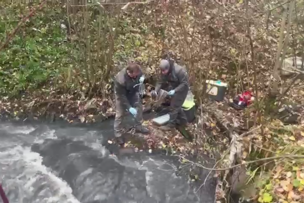 Специалисты выяснили, что не так с Охтой, где произошел мор рыбы