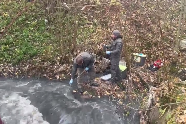 Состояние воды в Охте улучшилось. Но вред после сброса стоков еще предстоит посчитать