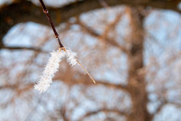 Синоптики рассказали, какие сюрпризы готовит погода завтра