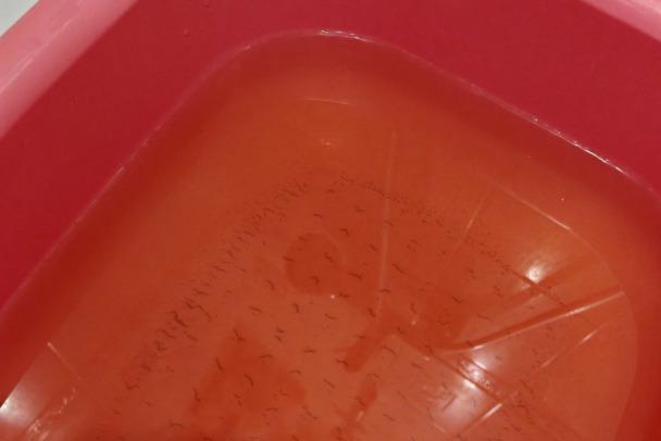 Потек апельсиновый сок. Леноблводоканал выясняет, что произошло с водой в Выборге