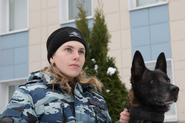 В Ленобласти поймали поджигателя вышки с помощью Ямато