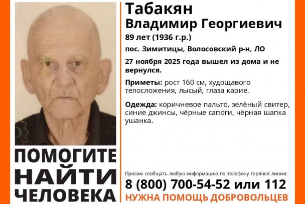 Под Волосово ищут пропавшего 89-летнего пенсионера