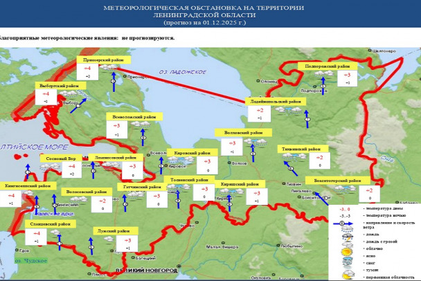 Дождь и гололедица. Декабрь в Ленобласти начнется нестандартно