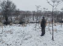 У деревни Георгиевское