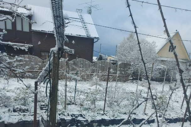 Сыро, холодно, скользко: прогноз погоды на завтра