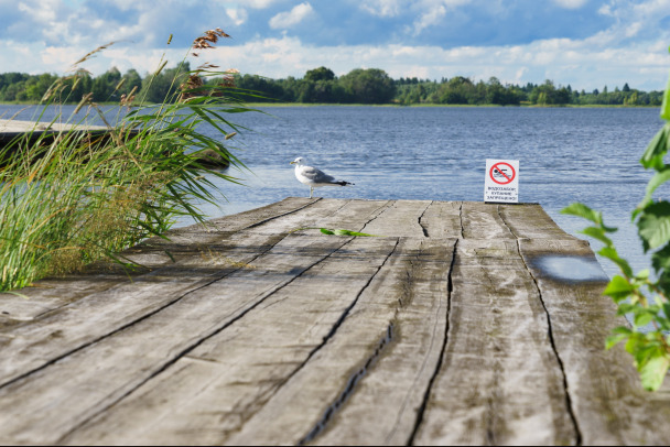 Вот тебе, бабушка, и финский хутор. Отсудить берег озера образца Зимней войны