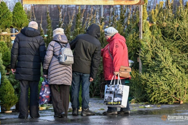 Где купить живую ёлку в Петербурге