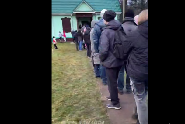 В ближайшем к Петербургу лесхозе - очередь за бесплатными ёлками - видео