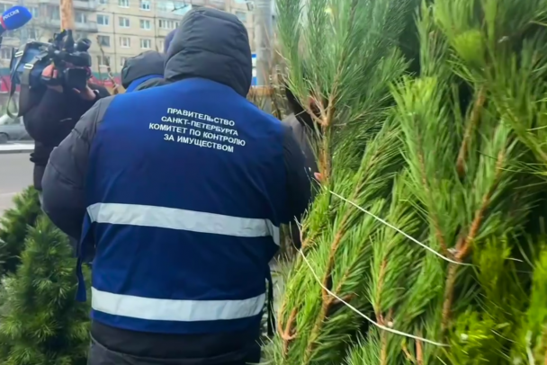 В Петербурге ищут нелегальные елочные базары. Пару уже закрыли