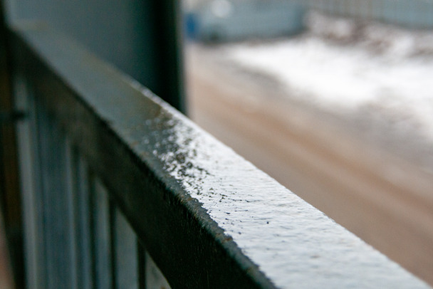 Тепло под декабрьским дождем. В Ленобласти опять до плюс 5