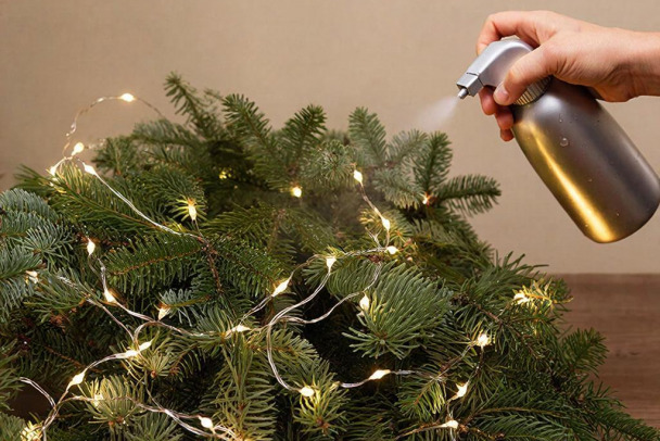 Елки-иголки. Чтобы не осыпалась еще до поздравления Путина