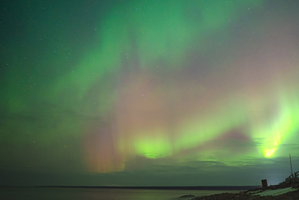 Северное сияние можно будет увидеть в небе над Ленобластью в Новый год