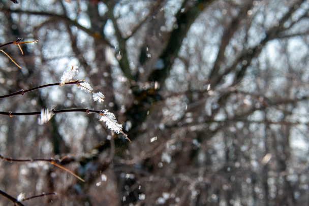 В Петербурге и Ленобласти уже устойчивый минус