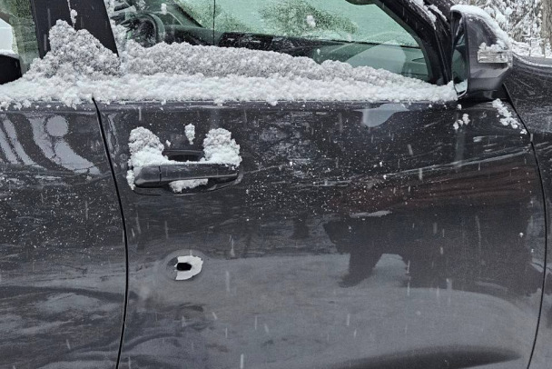 Следком Ленобласти