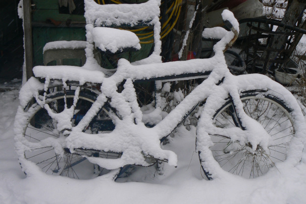 А мы говорили: доставайте тулупы и валенки! В Ленобласти ждут минус 20