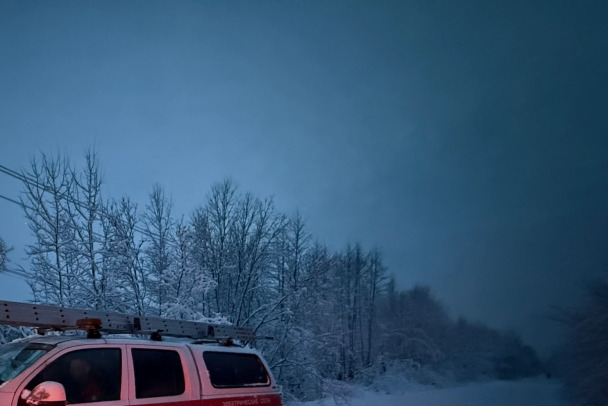 Еще двоих ночевавших в лесу нашли спасатели. Теперь - под Лугой