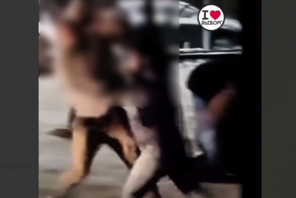 Мужчины в Выборге вновь красочно и с энтузиазмом мутузили друг друга