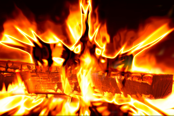 На пожарах в Ленобласти гибли козы, гуси и под 30 куриц