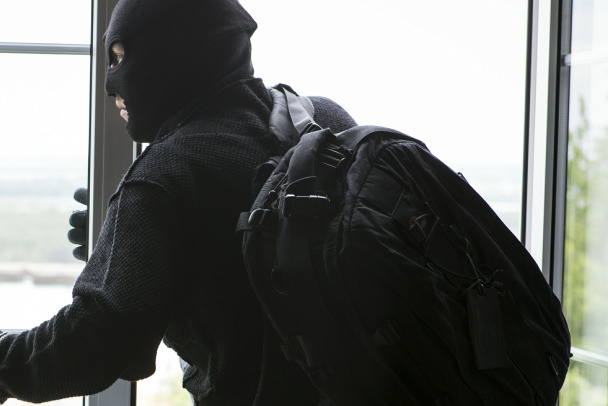 Жителя Ленобласти задержали за кражу в центре Петербурга на Рождество