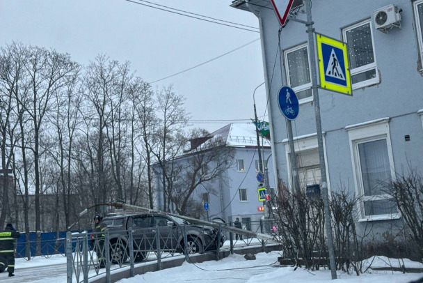 В Светогорске столб насмерть придавил водителя иномарки