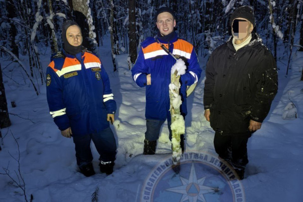 Спасатели из Тосно искали мужчину в лесу