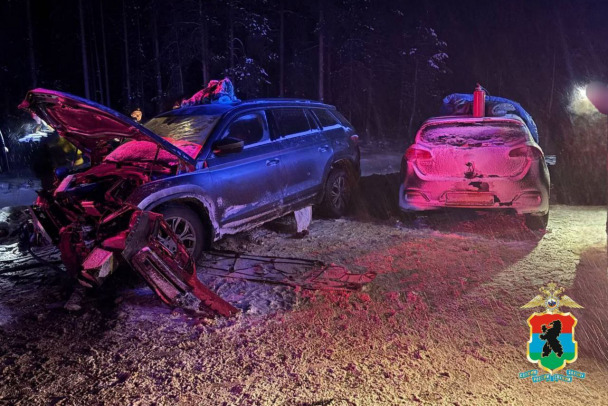 В лобовом ДТП в Карелии пострадала петербурженка и пятеро детей