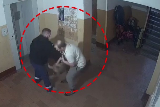 За шкирку и об стену. В девятиэтажке Отрадного агрессор бил щенка