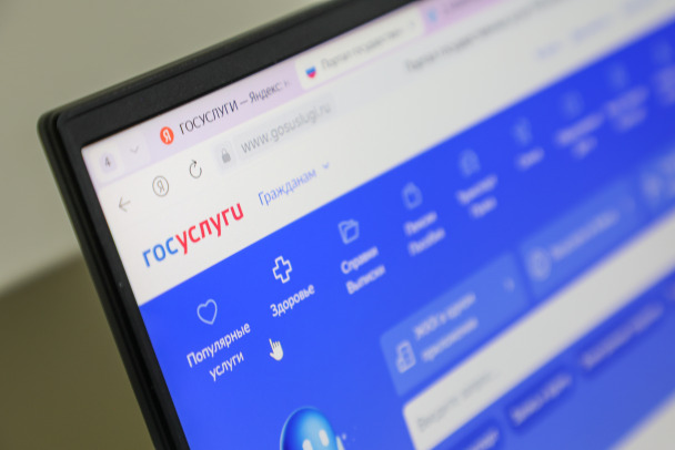 Реестр злостных неплательщиков заработал на Госуслугах