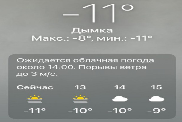 Ваш смартфон может показывать -17, хотя на улице -7. Главный синоптик Петербурга объяснил, почему