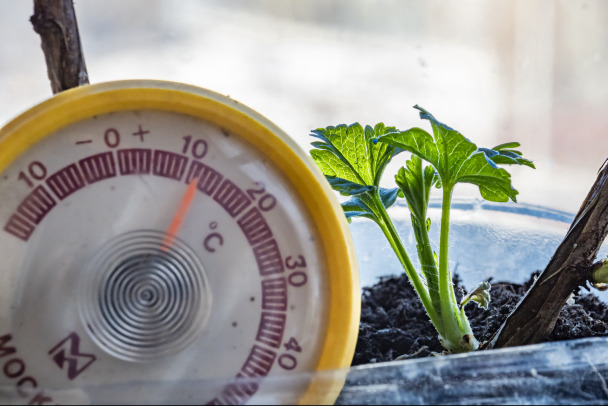 В Выборге замерзают сотрудники медцентра