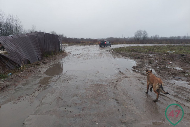 В поселке под Всеволожском, где дольщикам достроили дома без дороги, все-таки сделают съезд