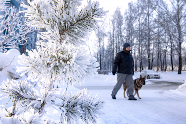 В Ленобласти - ветер южный, но мороз до минус 25-ти и гололед