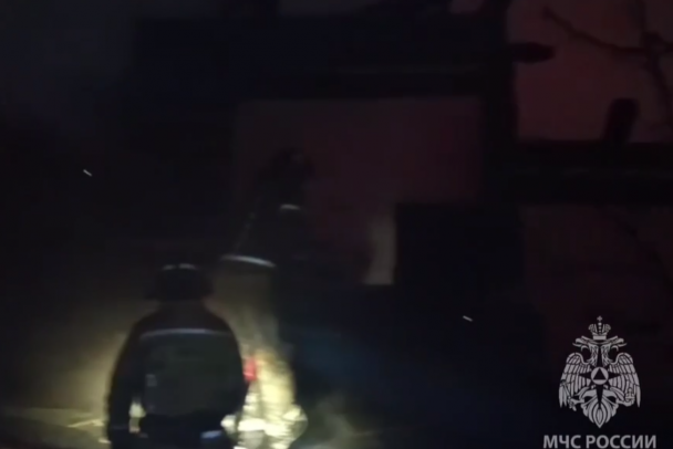 При пожаре в Романовке погибли козы и собаки